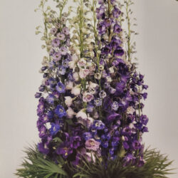 Delphinium Arrangement